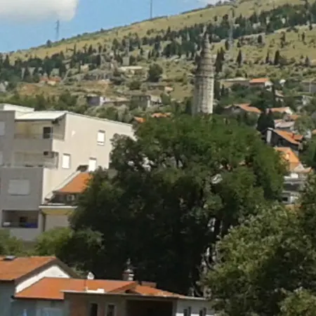 Dizdarevic *